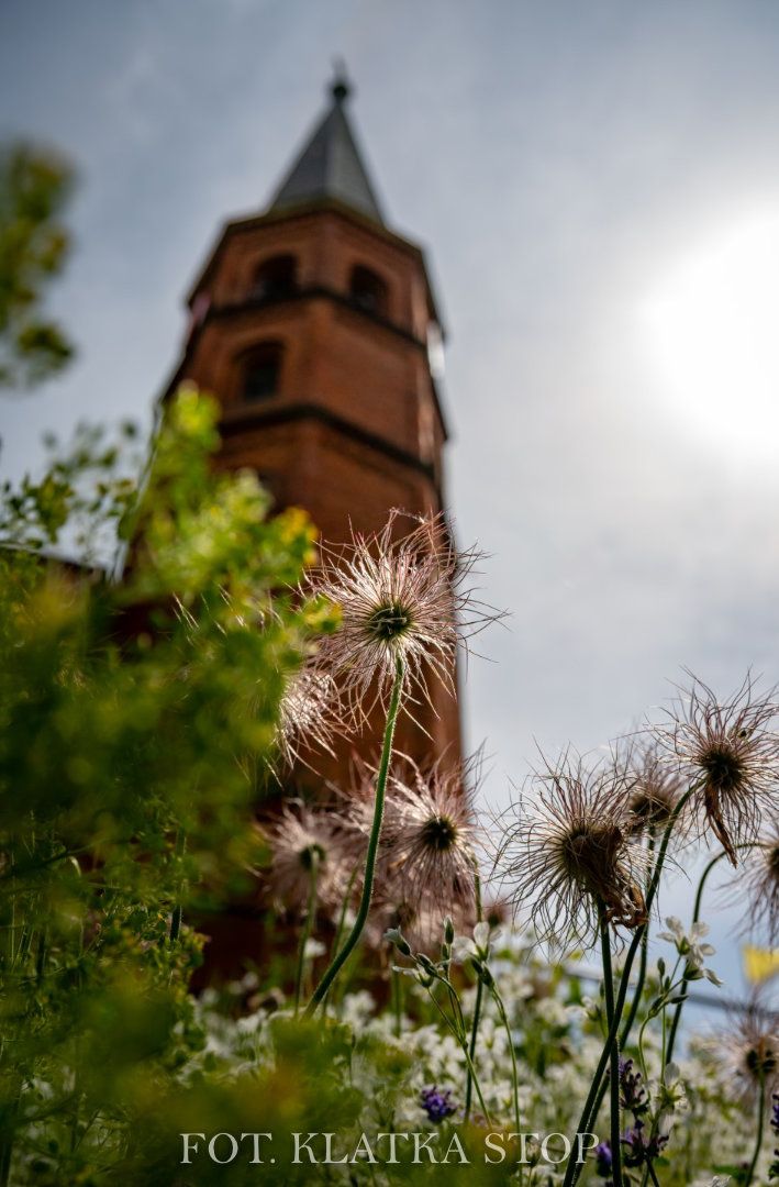 Zdjęcie tytułowe dla: Ogłoszenia